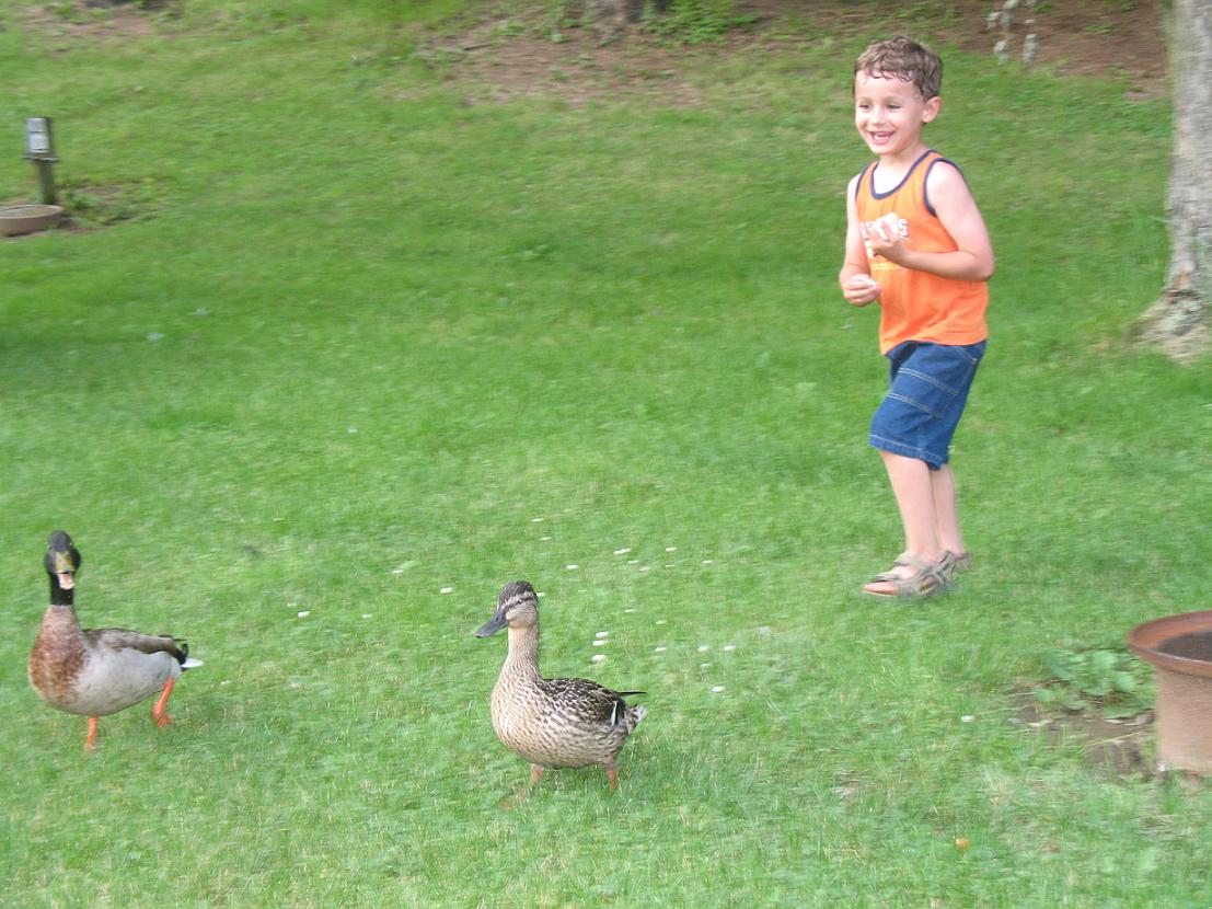 Aaron Feeding Ducks