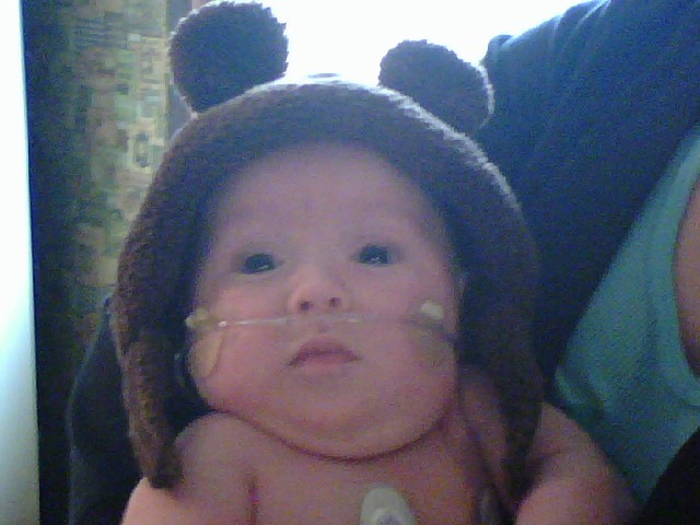 Teddy Bear Jeremiah