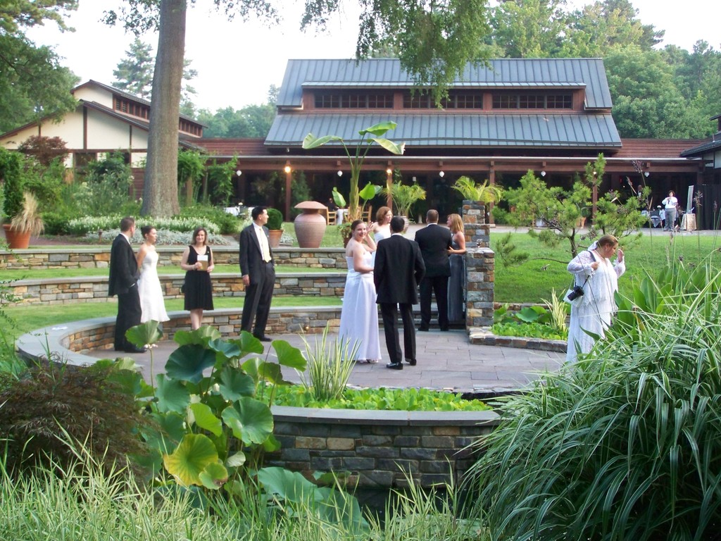 At the lily pond