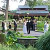 At the lily pond