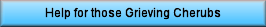 Grieving the loss of a child born with CDH?